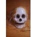 画像1: SHRUNKEN SKULL HEAD【I】 (1)