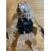 画像2: INVISIBLE PREDATOR ※mail offer ltd (2)