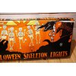 画像7: Skull Halloween Light Set 【D】 (7)