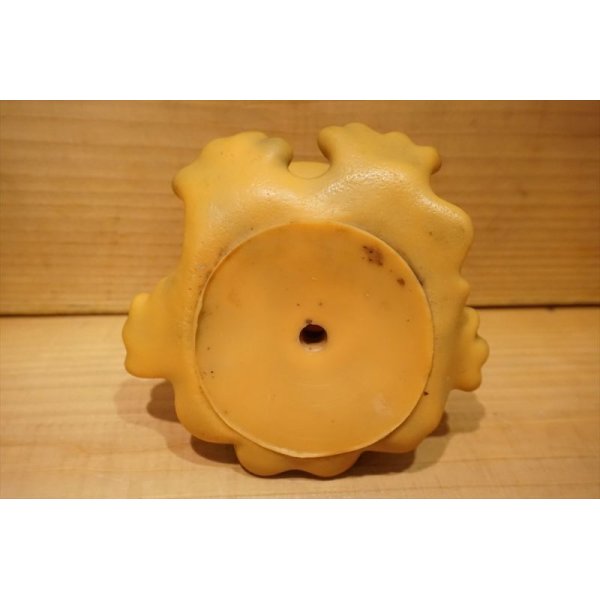 画像5: Frog Soap Dish (5)