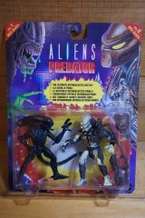 画像: ALIEN vs PREDATOR【C】