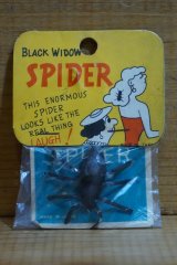 画像: BLACK WIDOW SPIDER